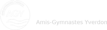 Agy
